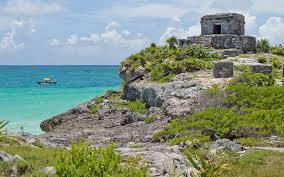 Descripción de la imagen