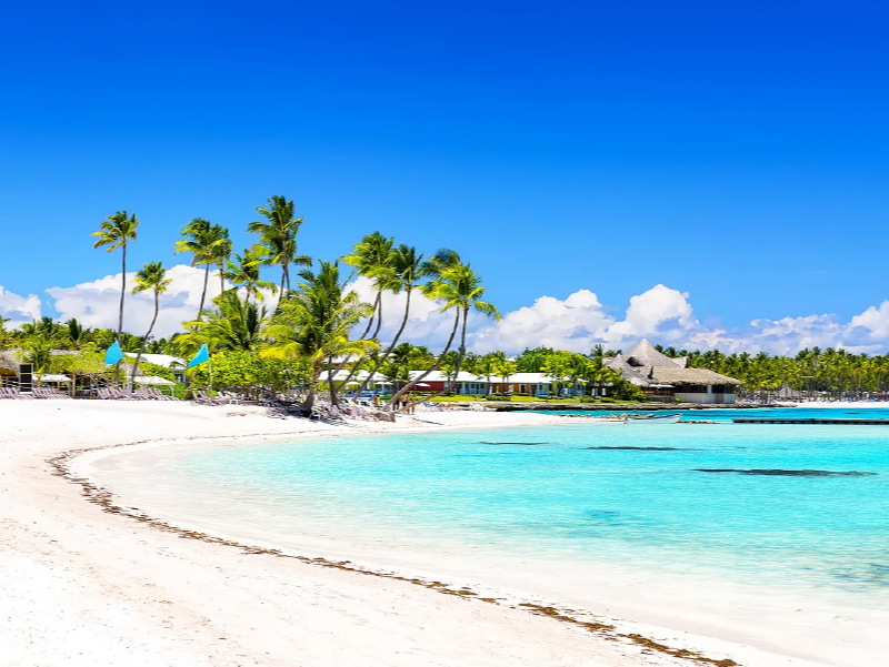 Descripción de la imagen