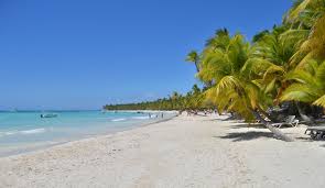 Descripción de la imagen