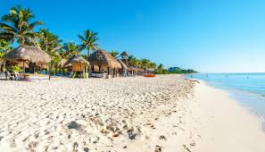 Descripción de la imagen