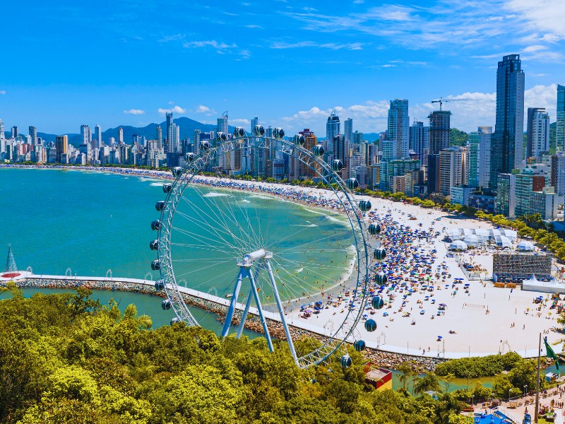 Descripción de la imagen