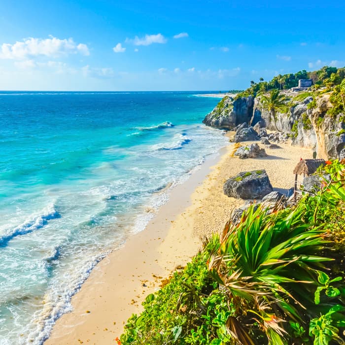 Descripción de la imagen