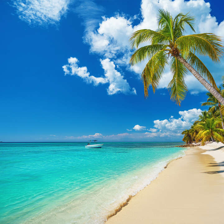 Descripción de la imagen