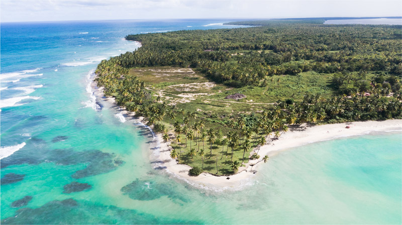 Descripción de la imagen