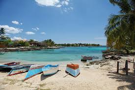 Descripción de la imagen